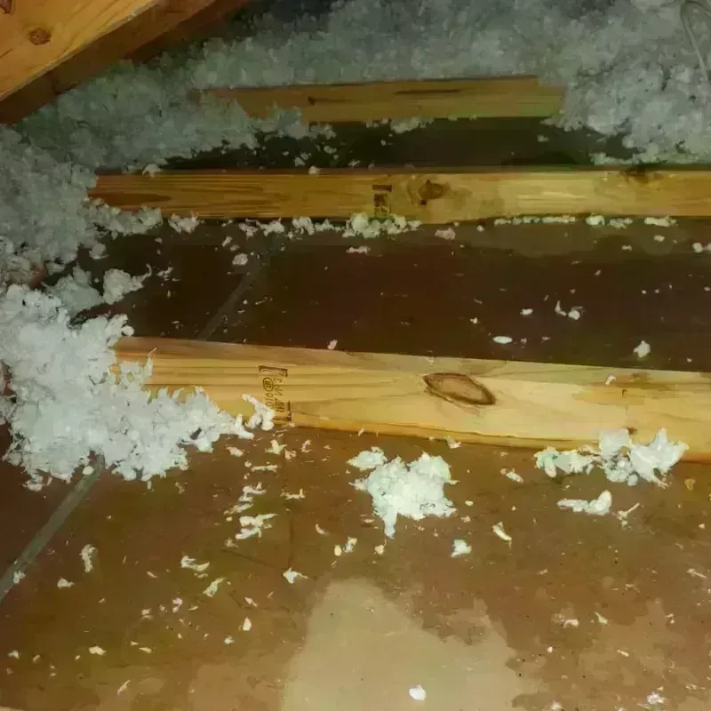 Attic Water Damage in South Dos Palos, CA